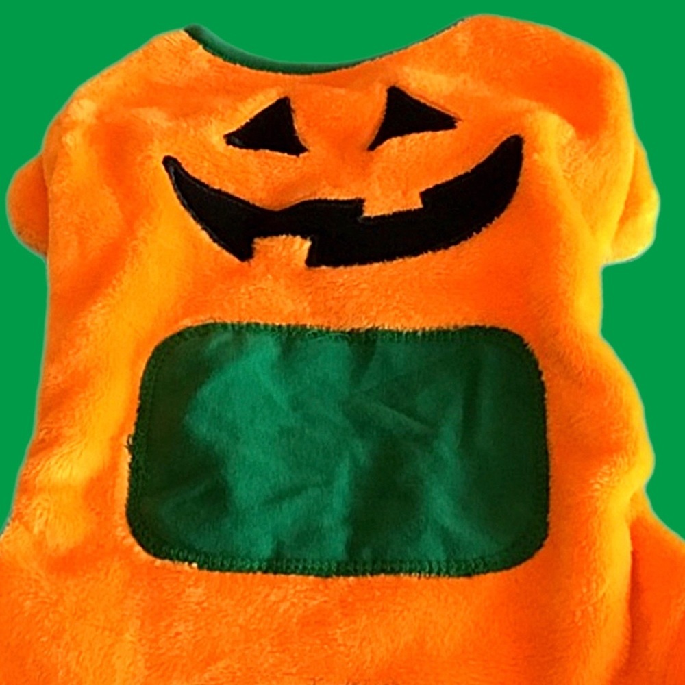 PET JACK O’ LANTERN COSTUME - Picture 9 of 10